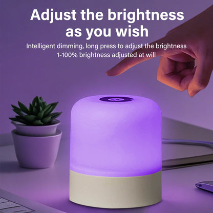 Touch LED Night Light