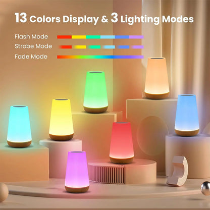 13-Color Changing Night Light