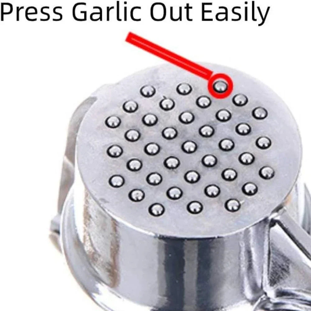 Stainless Steel Garlic Press Mincer